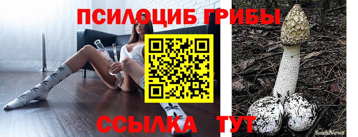 Галлюциногенные грибы Psilocybe Абинск
